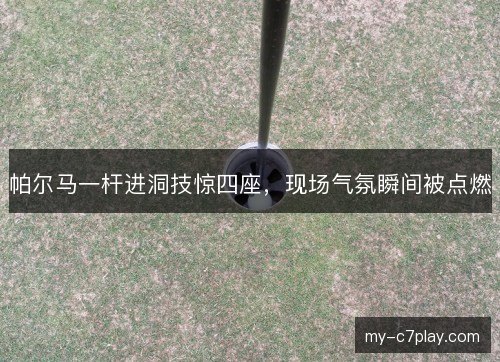 帕尔马一杆进洞技惊四座,现场气氛瞬间被点燃 帕尔马一杆进洞技惊四座,现场气氛瞬间被点燃